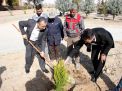 گزارش تصویری از آئیین درختکاری و تقدیر ازهمکاران فضای سبز دانشگاه